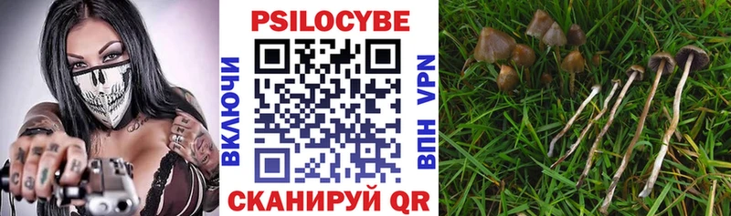 MEGA вход  Корсаков  Псилоцибиновые грибы Psilocybe  наркота 