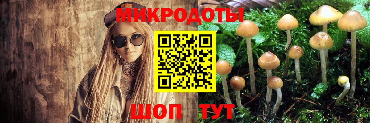 Псилоцибиновые грибы мицелий Корсаков