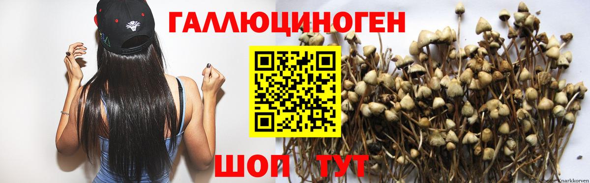 Псилоцибиновые грибы Magic Shrooms  Галлюциногенные грибы Psilocybe  Вход с VPN  Корсаков 